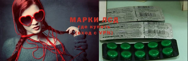 шишки Саяногорск