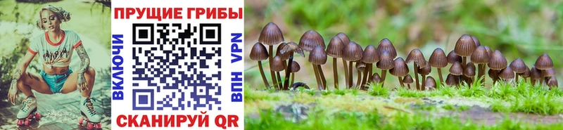 Галлюциногенные грибы GOLDEN TEACHER  Баймак 